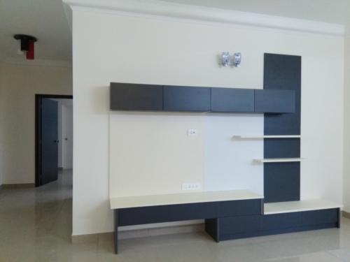 Entertainment Unit